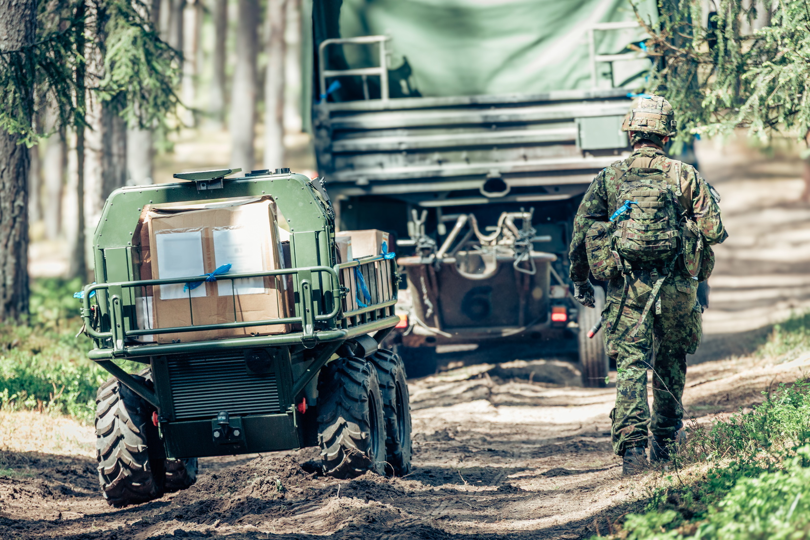 Image by: Kaitsevägi/Triinu-Liis Mullaste (via pildid.mil.ee)